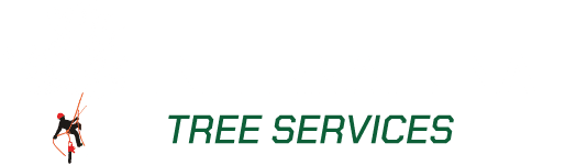 International Tree Service in Richmond VA Logotype