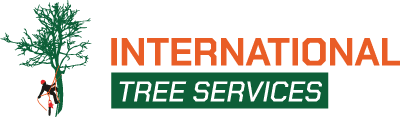 International Tree Service in Richmond VA Logotype 2