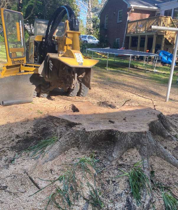 stump removal in rva