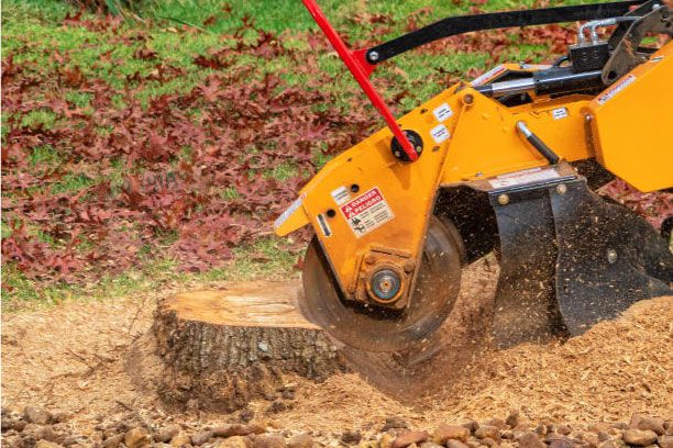 Stump grinding and removal service in Richmond VA – any size stump
