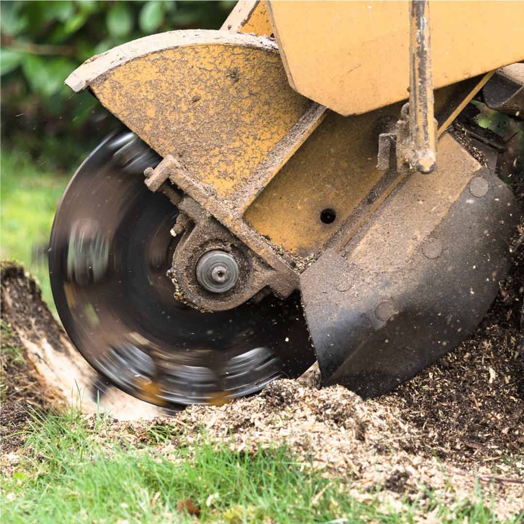 stump grinding in richmond