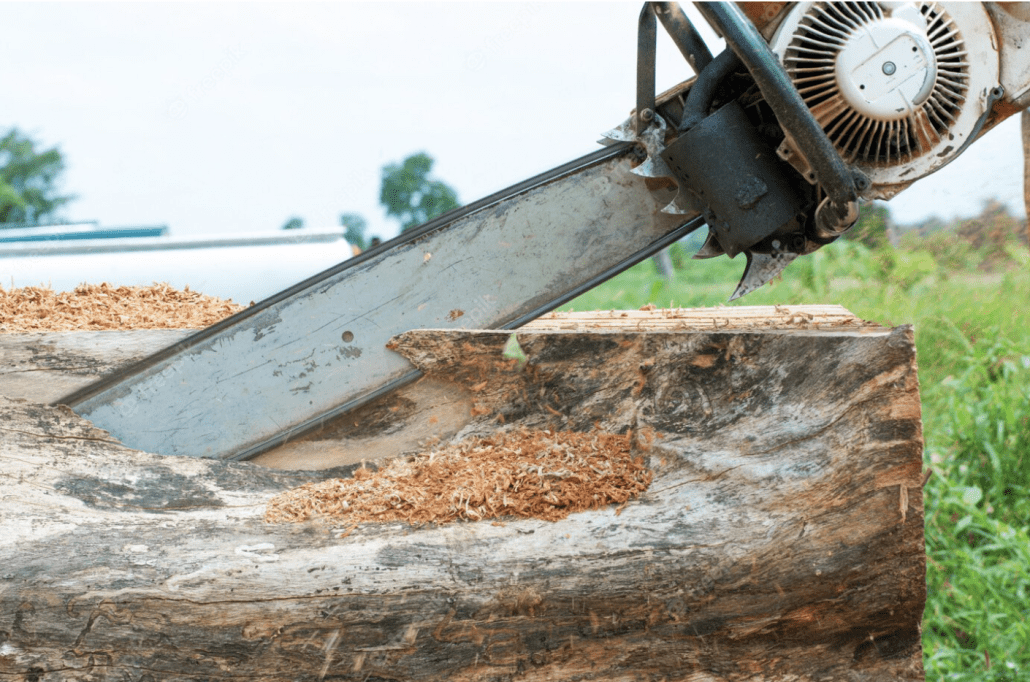 Screen Shot 2023 05 17 at 4.56.12 pm 1030x682 1 International Tree Services in Richmond VA