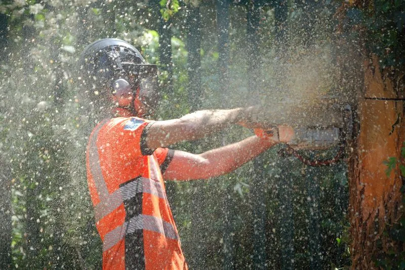 prepare for tree removal in rva