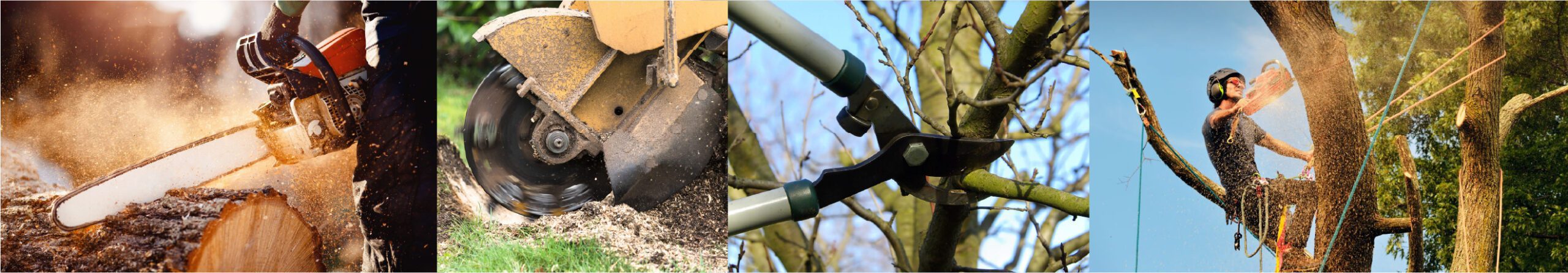 international tree services in richmond