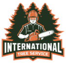International Tree Services in Richmond VA